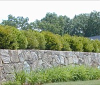 Retaining Wall Install, Wellesley, MA